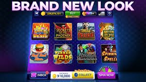 browin88 apk Teen Patti and Andar Bahar dealer studio showing cards and real-time betting